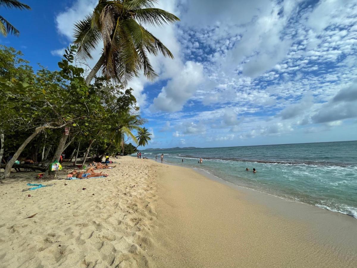 Appartement Vue Mer A 2 Minutes A Pied Des Plages Tartane La Trinite Exterior photo