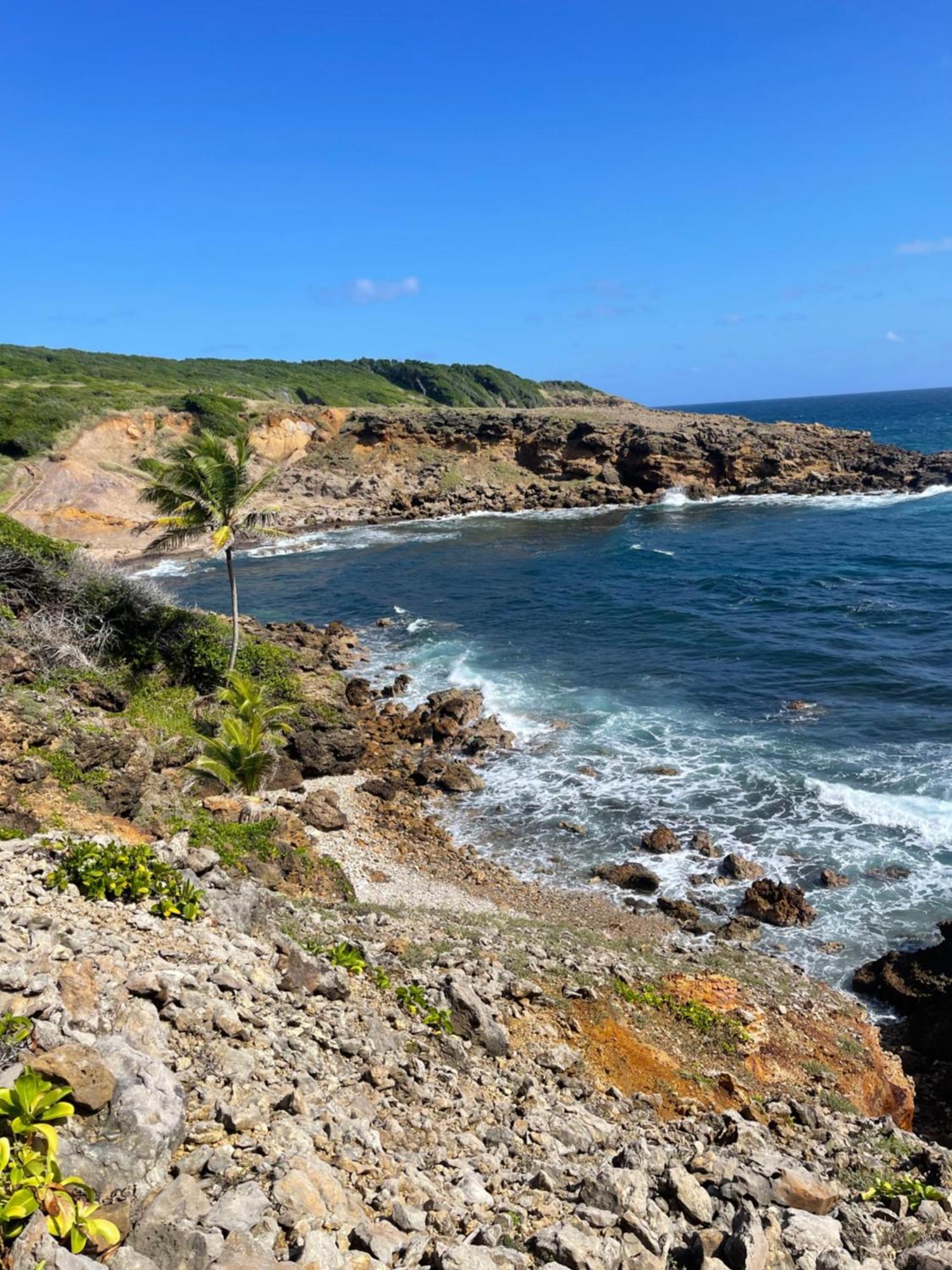 Appartement Vue Mer A 2 Minutes A Pied Des Plages Tartane La Trinite Exterior photo